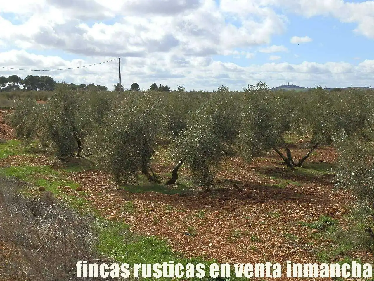 Rural land for sale in Valdepeñas, imagen 7
