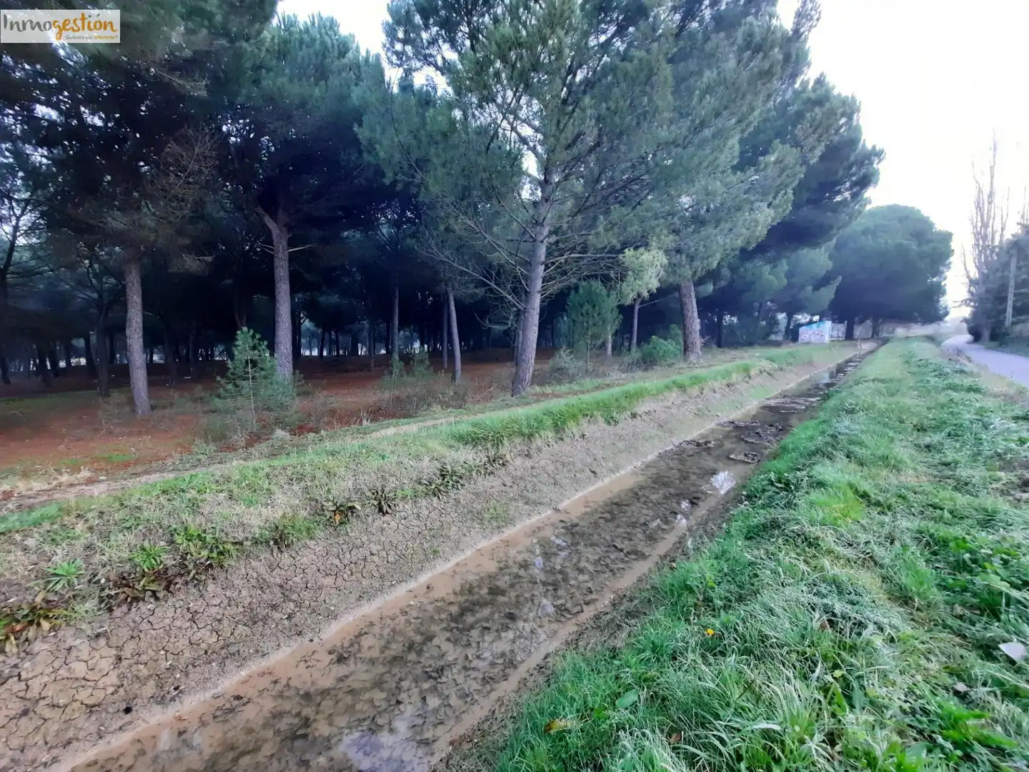 Terreno en venta en Tudela de Duero
