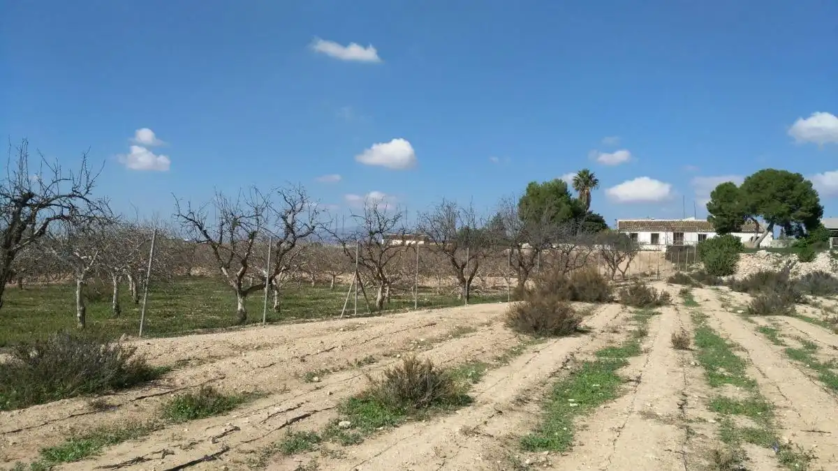Country homes for sale in Fuente Álamo de Murcia