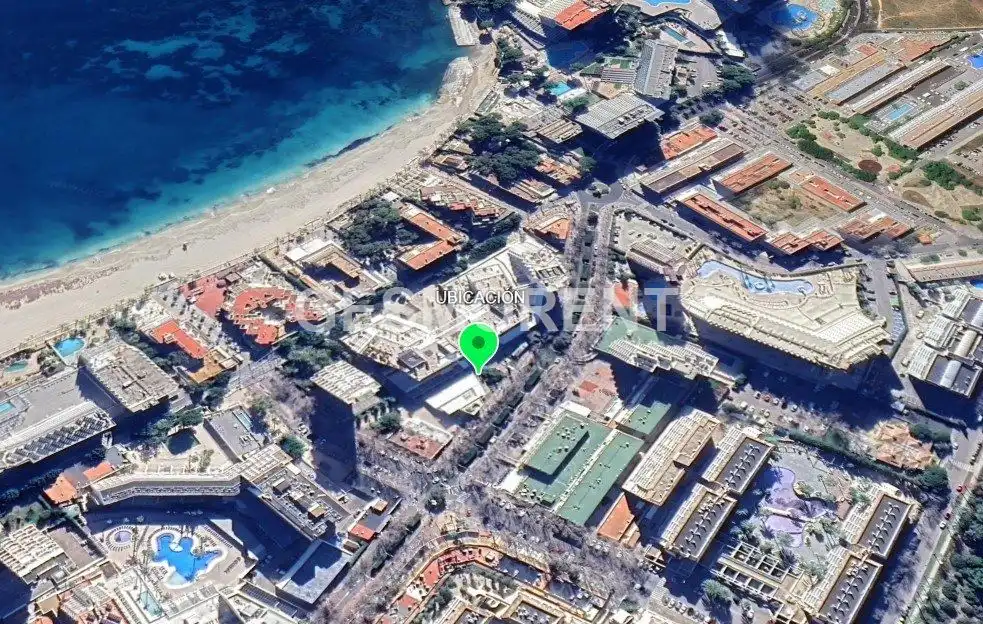 Local comercial en alquiler en Magaluf, imagen 2