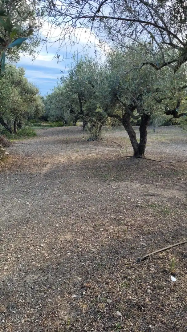 Xalet amb jardí en venda a Mestral, imagen 32