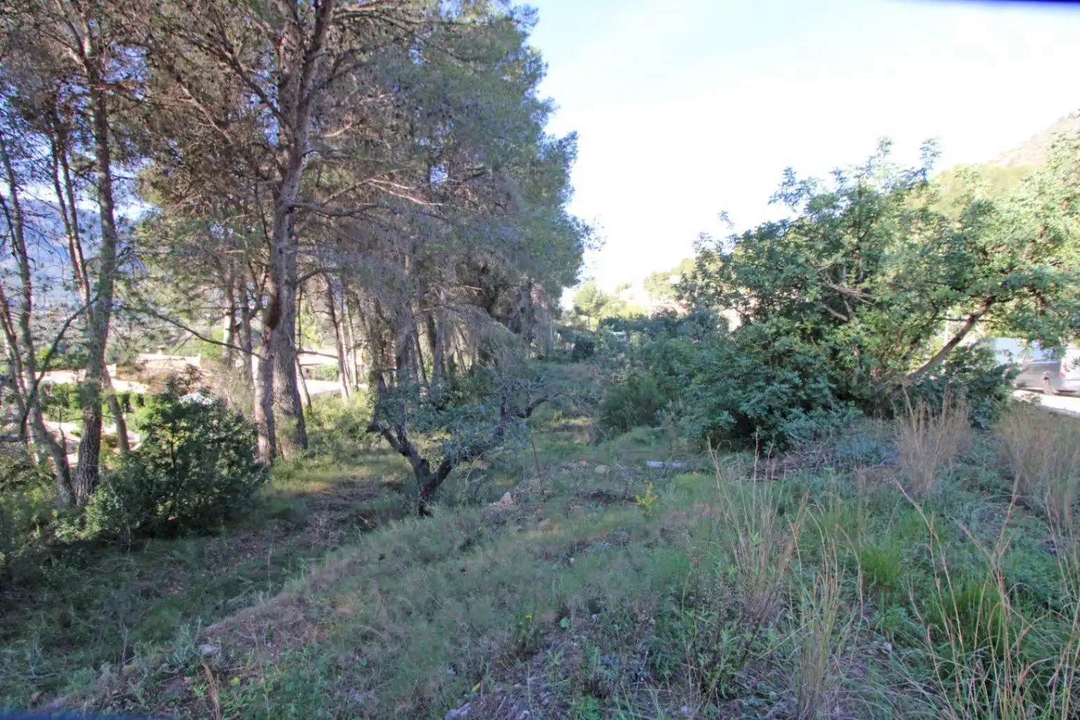 Terrenys i solars en venda a Alcalalí