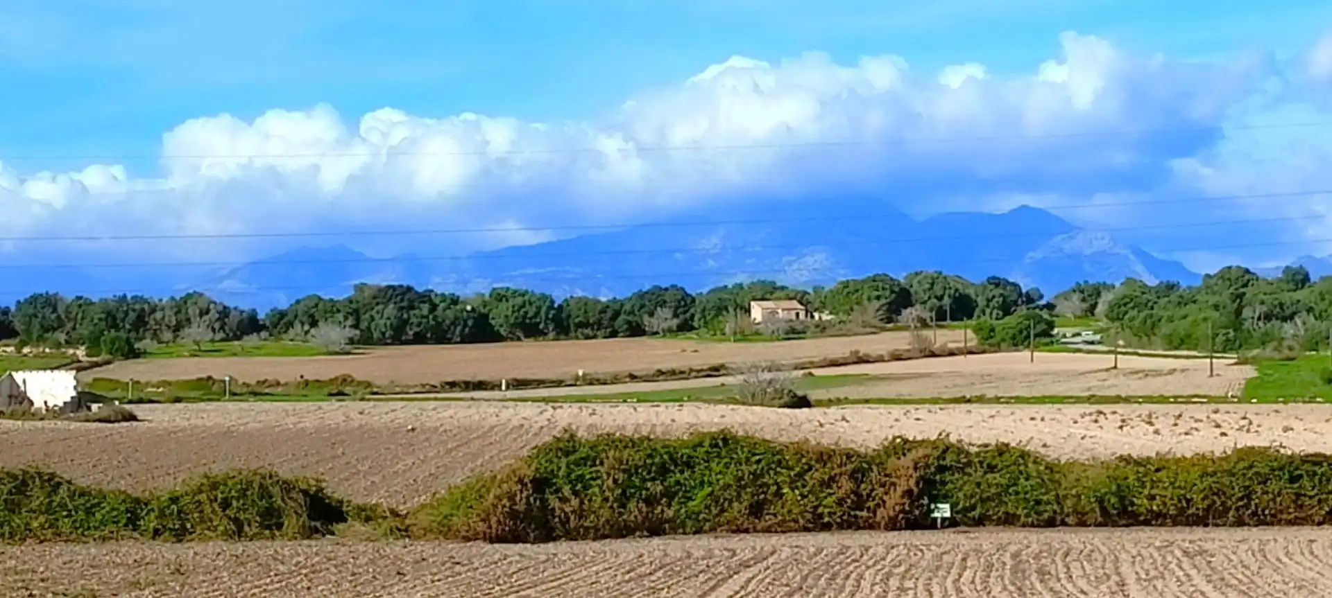 Wohnbaugrundstück zum Verkauf in Muro, imagen 2
