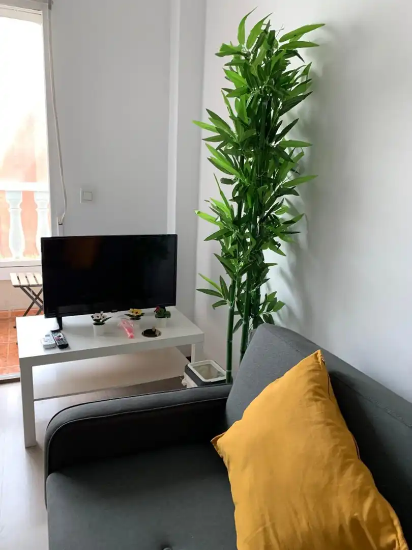 Apartments for rent in Antonio Machado