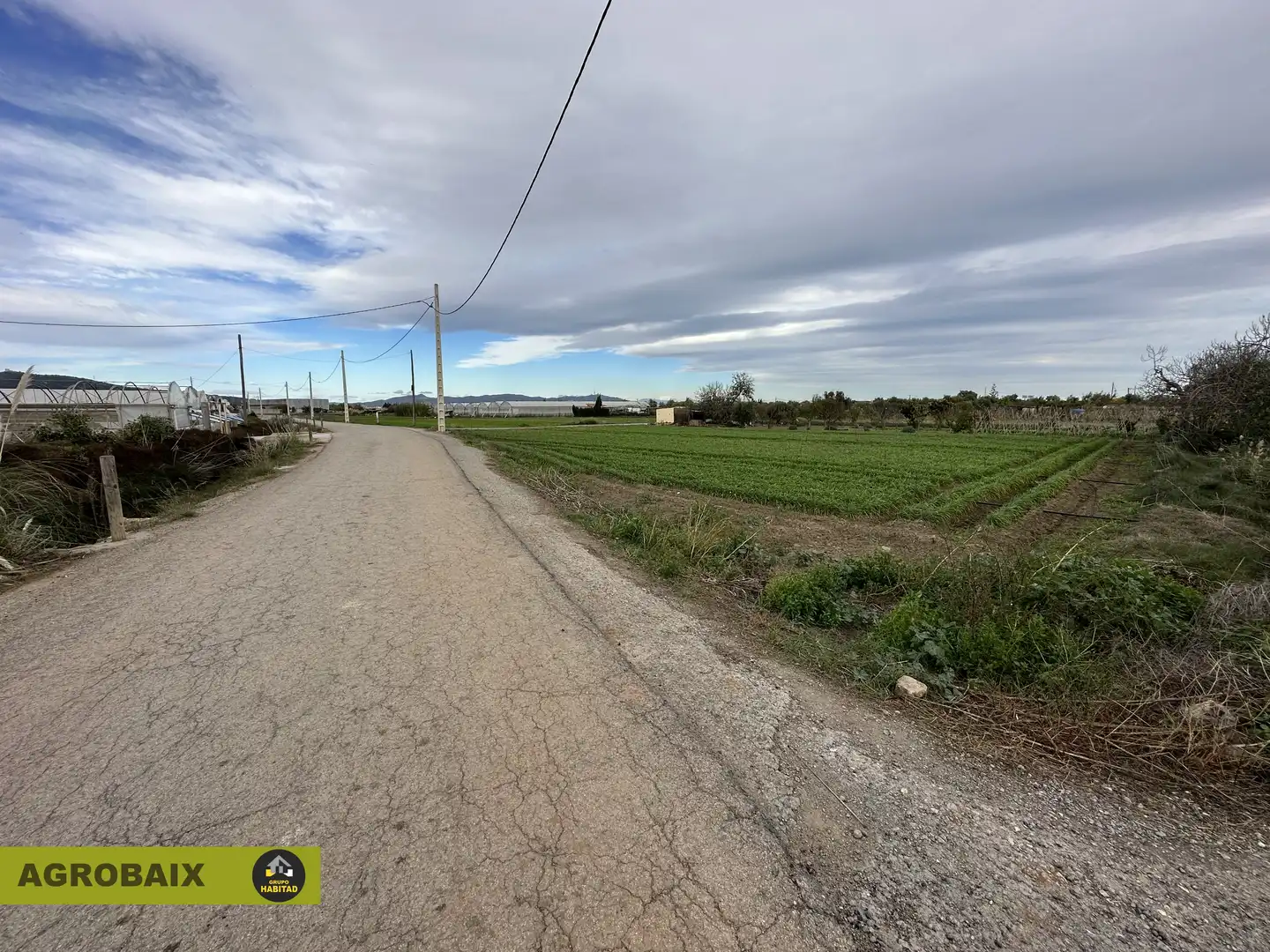 Rural land for sale in Torrent Ballester, imagen 25