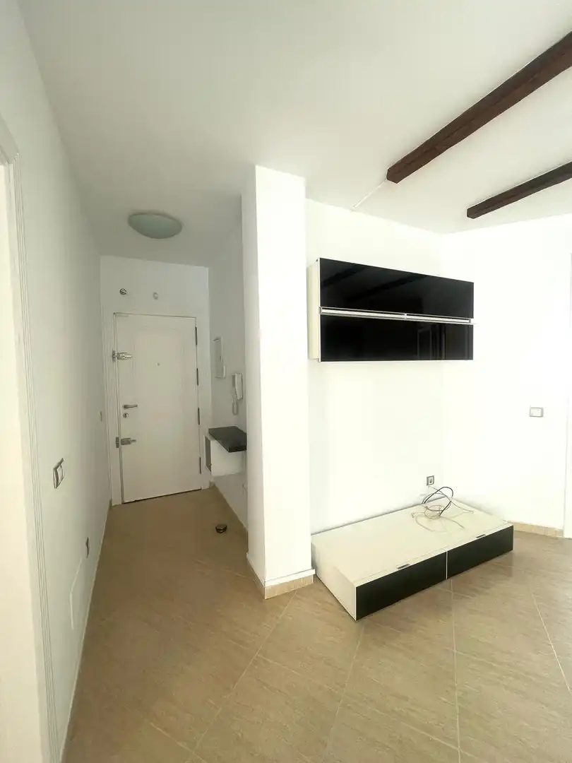Appartement avec terrasse à vendre à El Ejido Ciudad, imagen 23