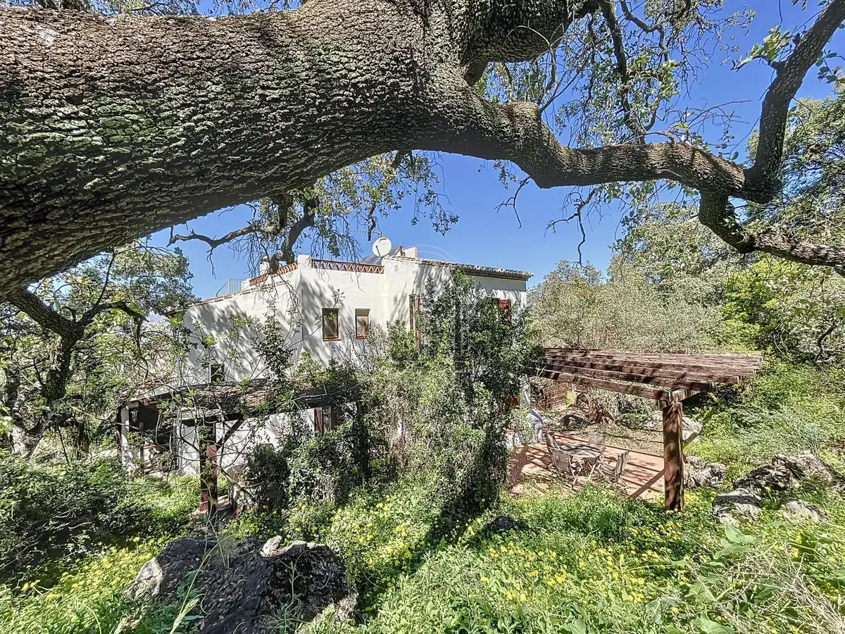 Jardín de Finca rústica en venta en Comares con Aire acondicionado, Jardín privado y Terraza