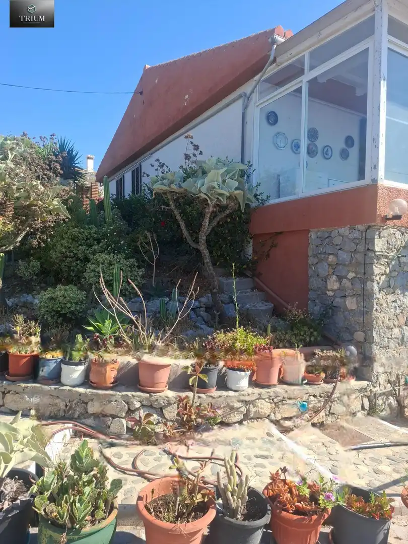 Jardí de Casa o xalet en venda en Almuñécar