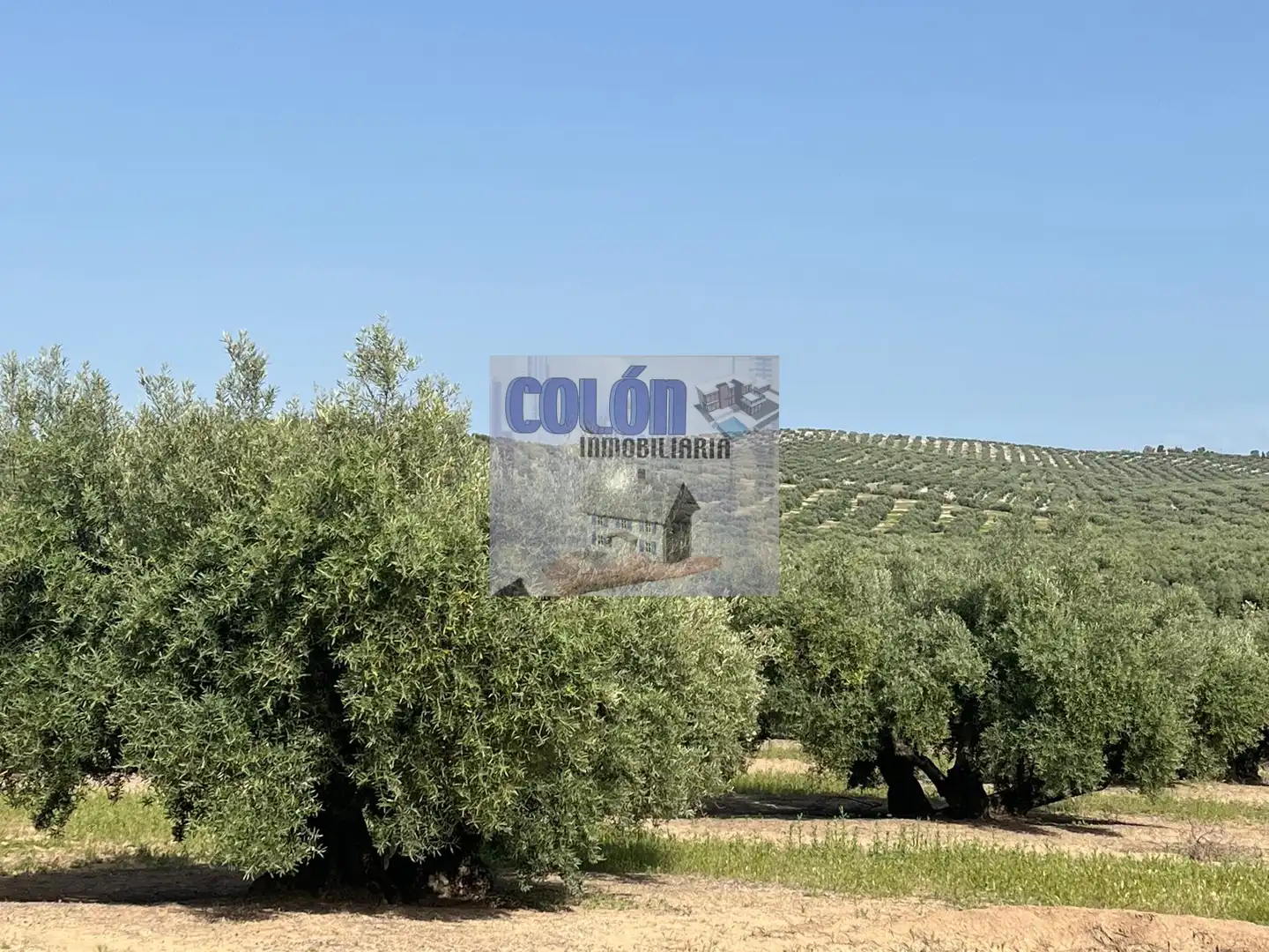 Terreni e lotti in vendita a Martos, imagen 2