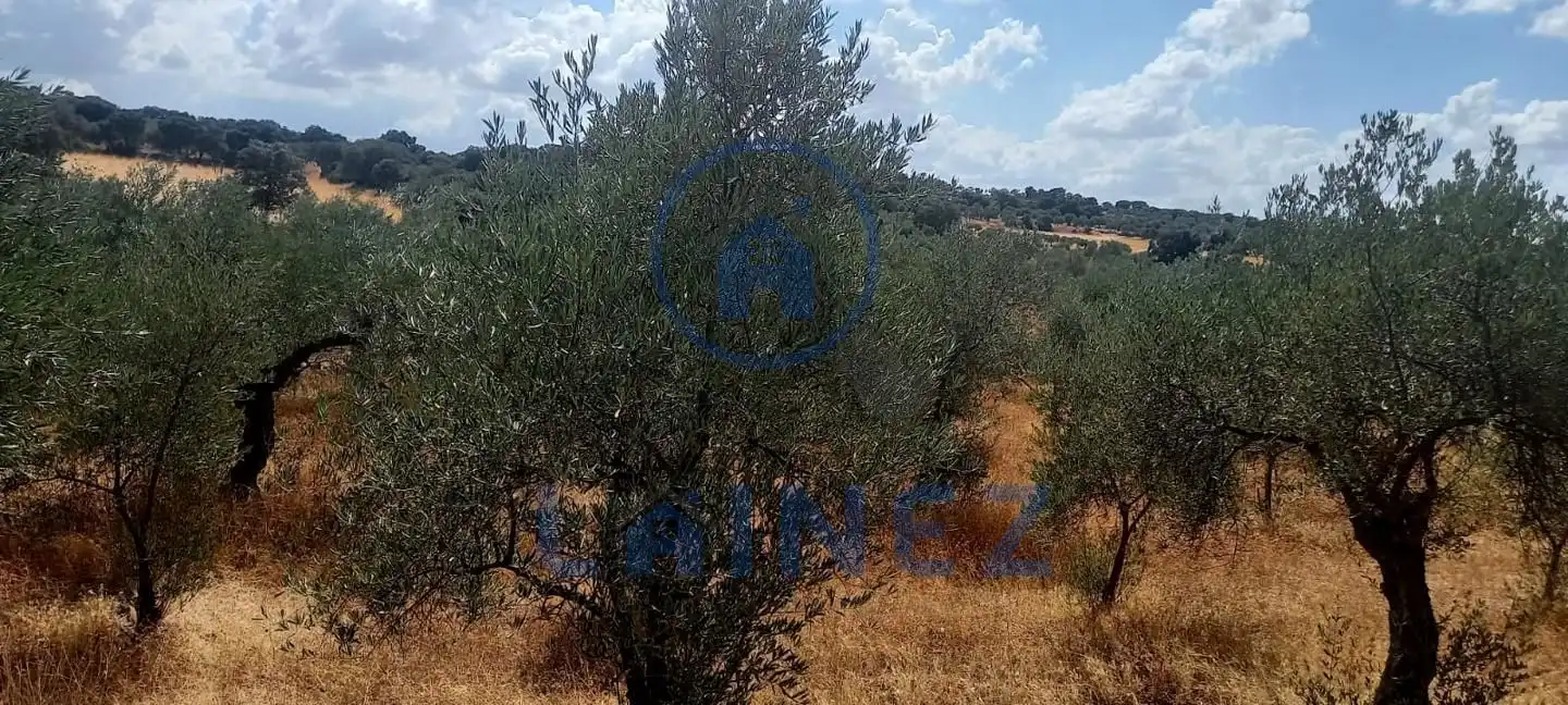 Wohnbaugrundstück zum Verkauf in La Granjuela, imagen 10