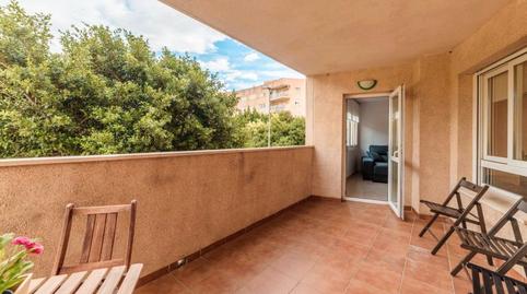 Photo 5 of Flat to share in Avenida Plutarco, 16, El Cónsul - Ciudad Universitaria - El Romeral, Málaga Capital