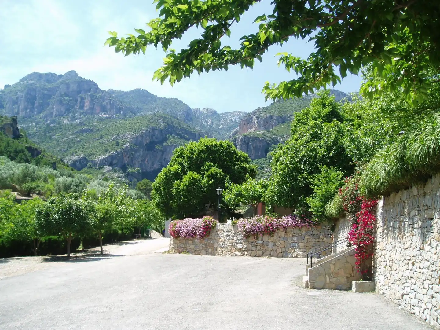 Vista exterior de Local en venda en Alfara de Carles amb Moblat