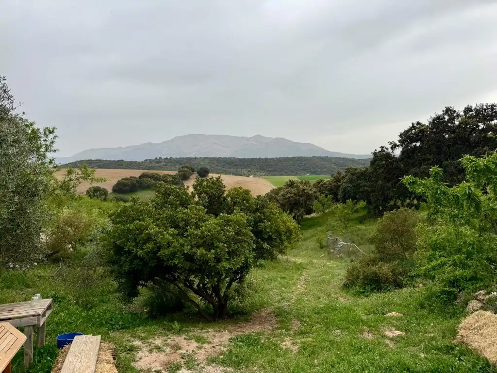 Casa o chalet en venta en Alhama de Granada