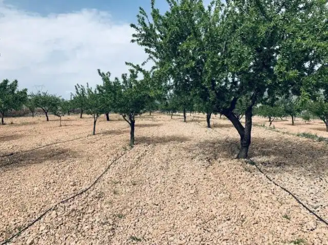 Terreny residencial en venda a La Romana