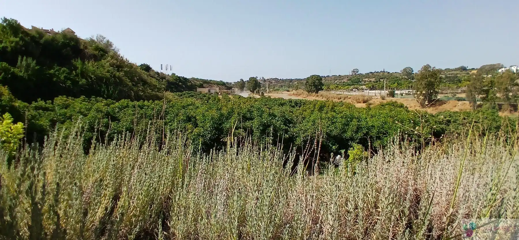 Terreni e lotti in vendita a Benamara - Atalaya, imagen 12