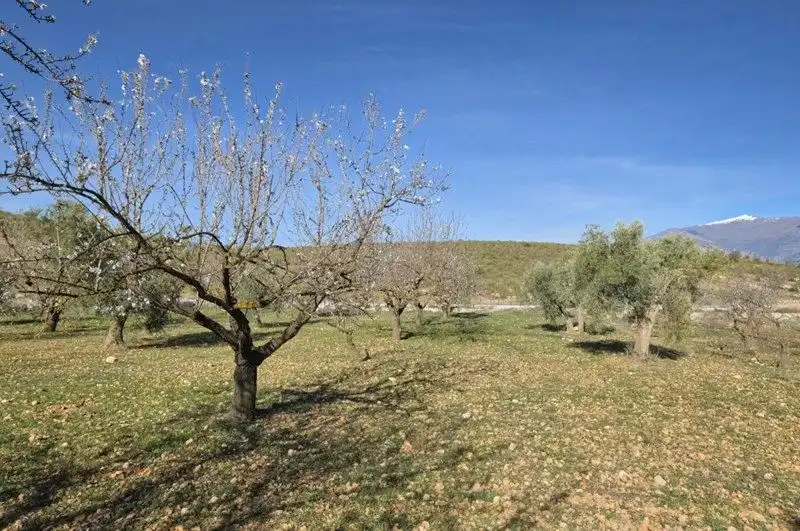 Terreni e lotti in vendita a Travesia Jose Mariano Vallejo, imagen 21