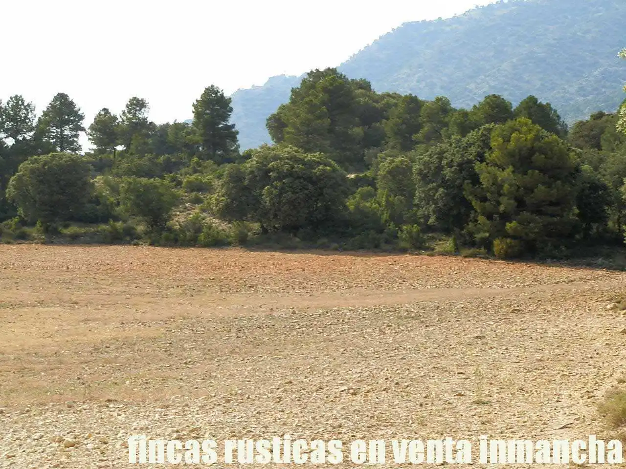 Terreno rustico in vendita a Caravaca de la Cruz, imagen 11