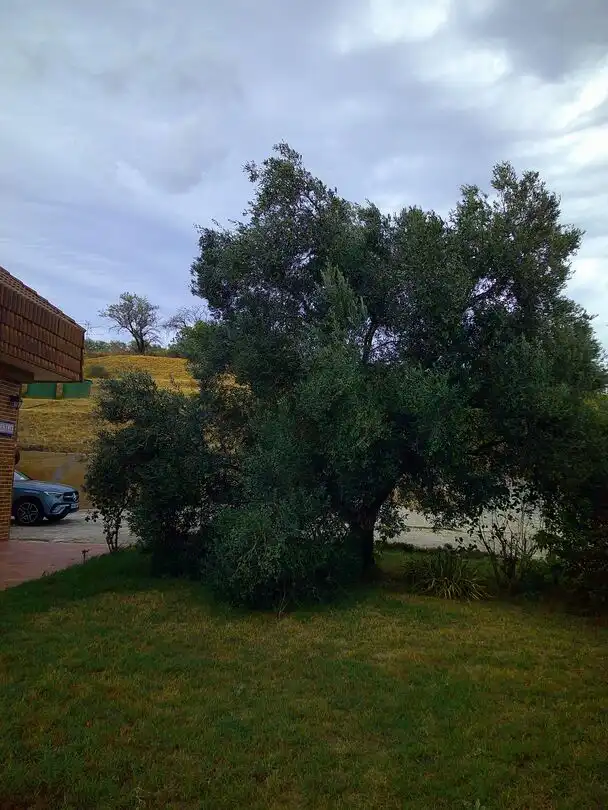 Villa à vendre à Carretera Campanas 5, imagen 33