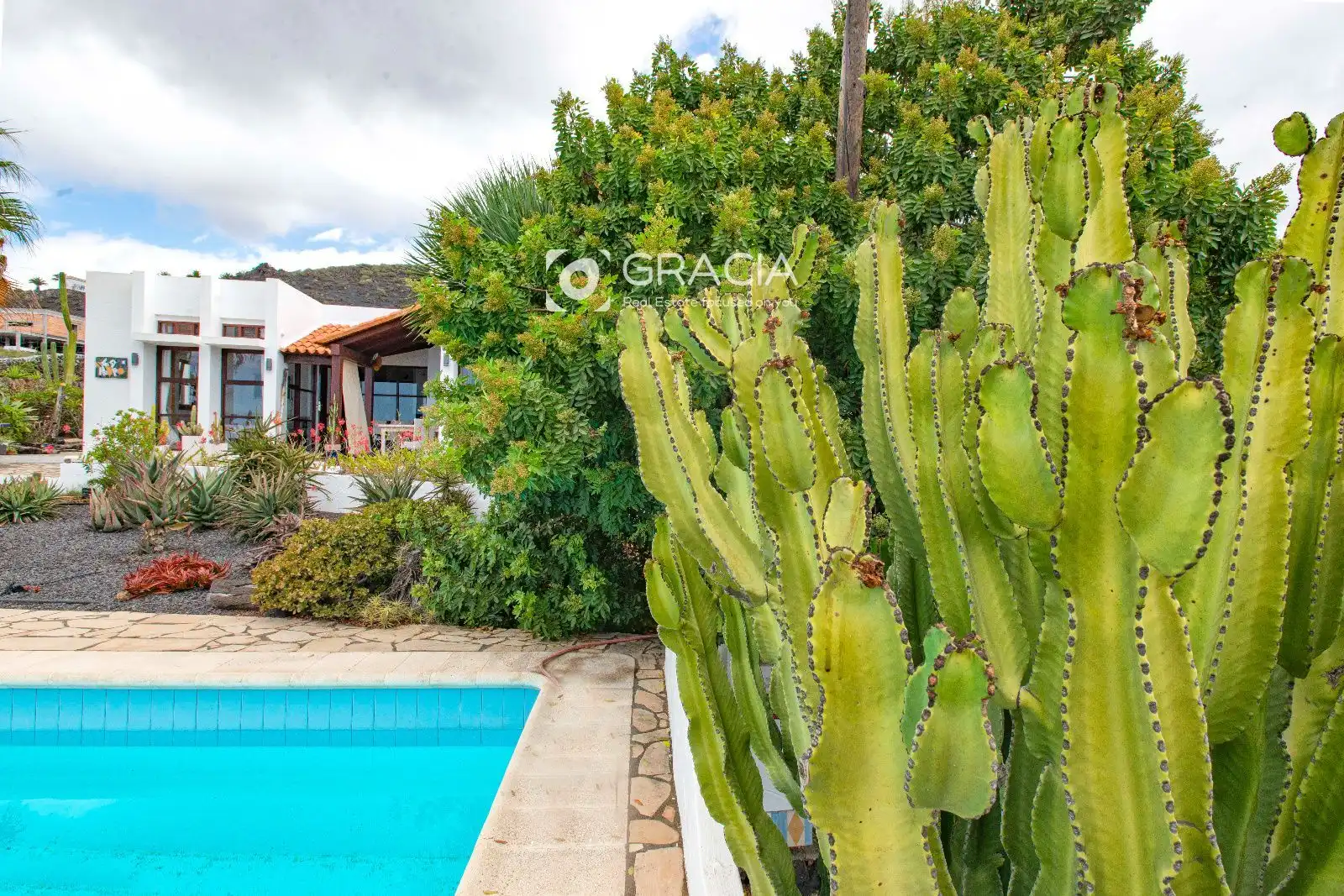 Jardín de Casa o chalet en venta en Tazacorte, Santa Cruz de Tenerife