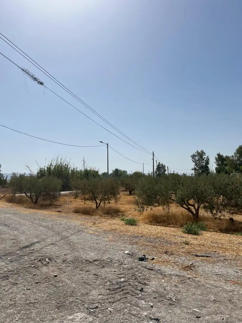 Rustikales Grundstück zum Verkauf in Camino TORRECILLA, imagen 15