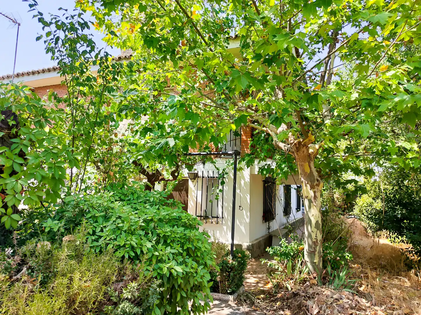 Villa mit Garten zum Verkauf in Calle Álamo 3, imagen 44