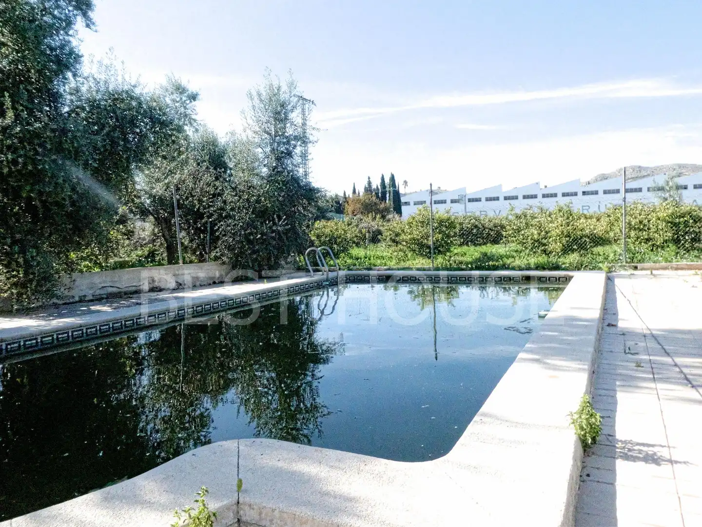 Piscina de Casa o chalet en venta en Mula con Jardín privado y Piscina