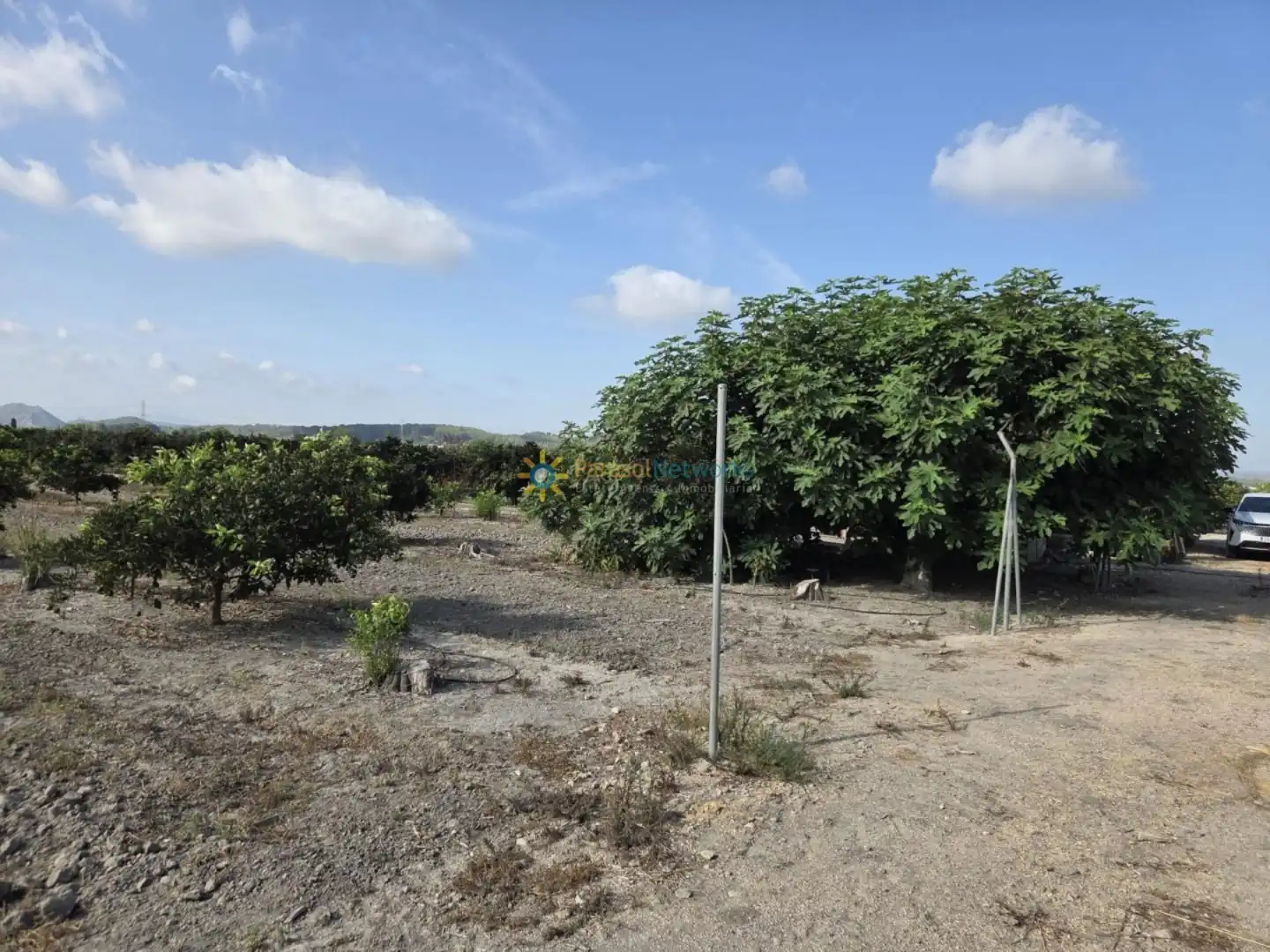 Finca rústica en venta en Senyera con Jardín privado y Terraza