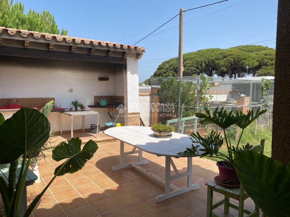 Terrassa de Finca rústica en venda en Chiclana de la Frontera amb Terrassa