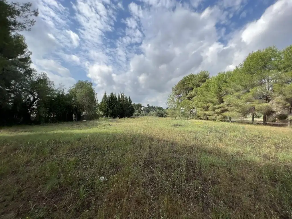 Terreny residencial en venda a Alberic, imagen 47