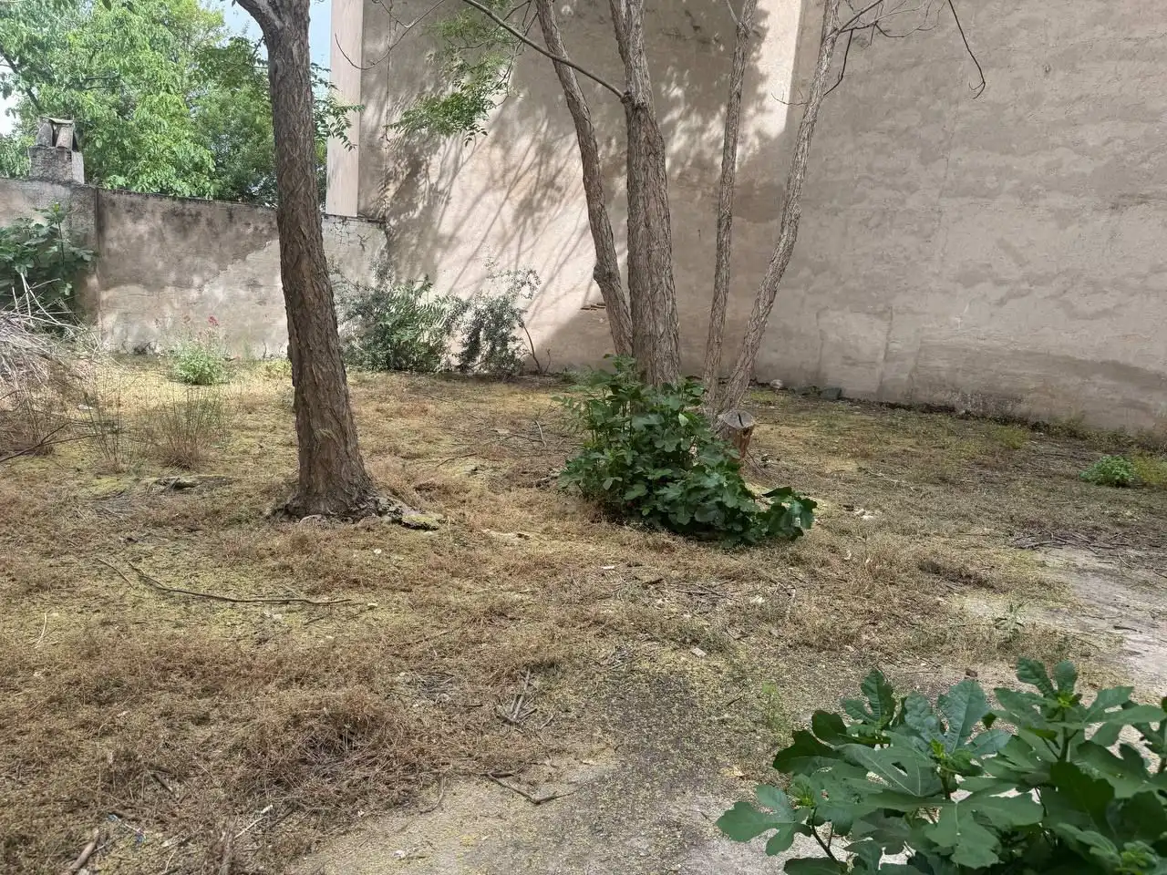 Commercial properties for sale in Huelma