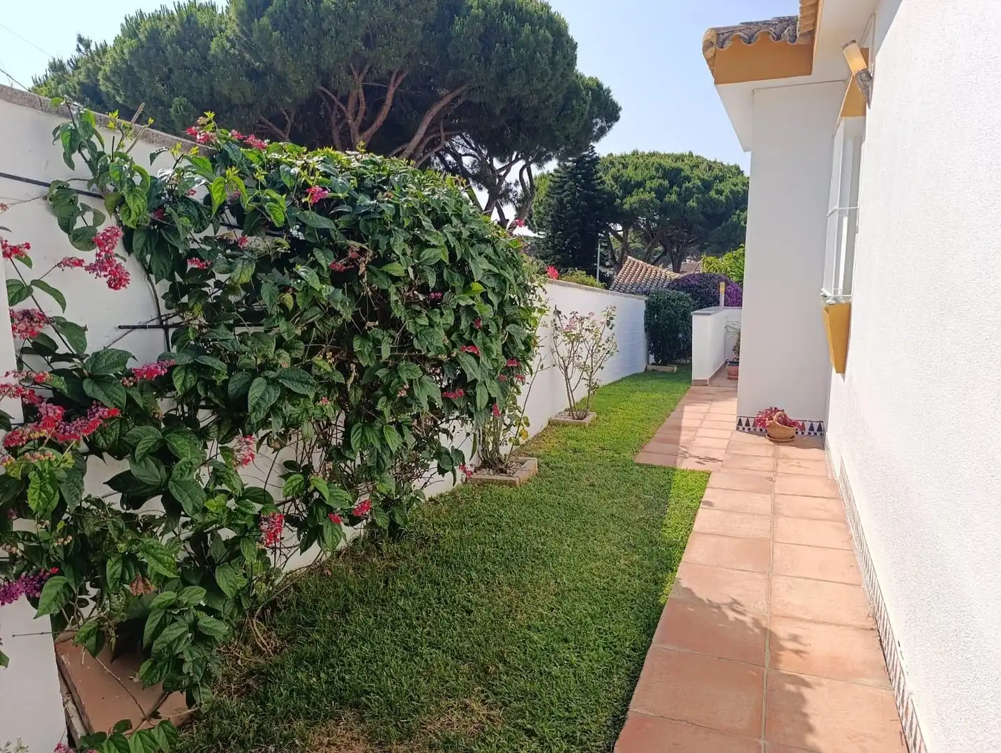 Garden of Houses for sale in Chiclana de la Frontera  with Air Conditioner, Heating and Private garden