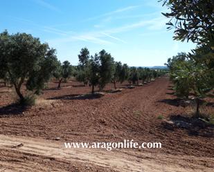 Land for sale in Maella
