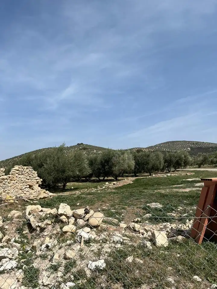 Terreno en venta en Benalúa de las Villas