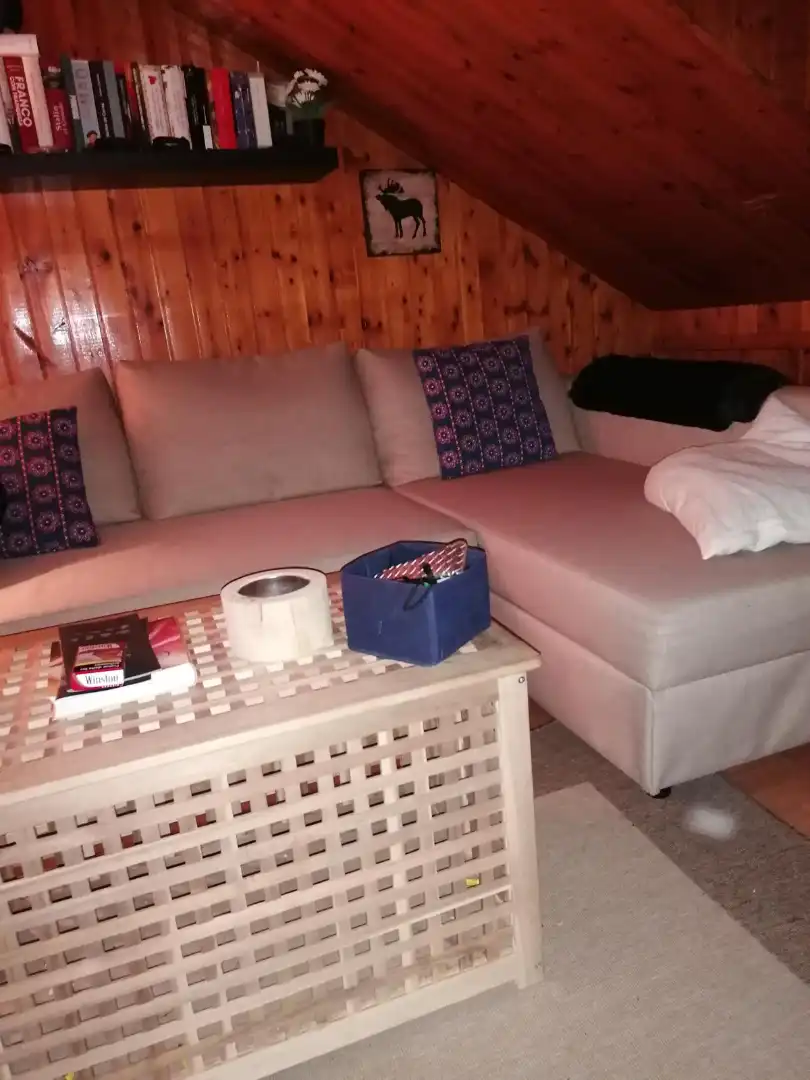 Apartments for rent in Caserio el Brañillin, Lena