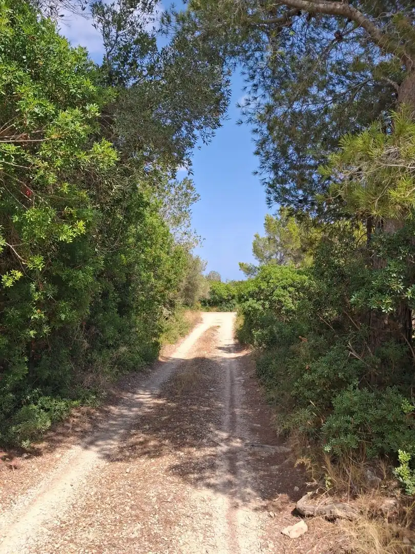 Terrain rustique à vendre à El Perelló, imagen 40