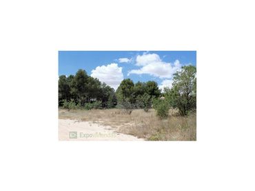 Terreno residenziale in vendita a Travesia (Barr)Cr Grana8