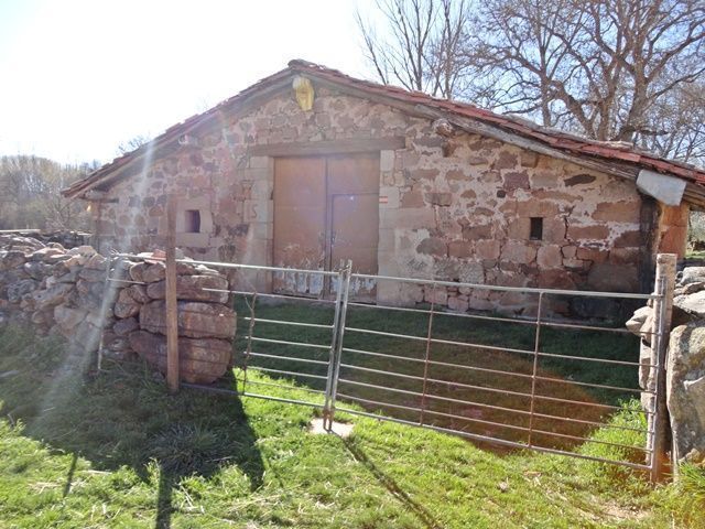 Exterior view of House or chalet for sale in Pinilla de los Moros  with Private garden