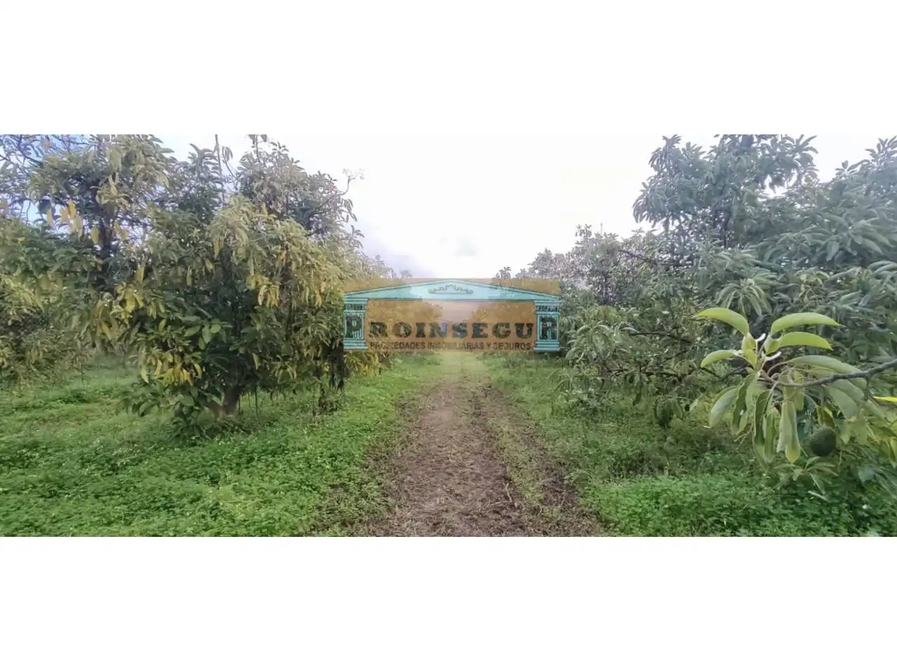 Rural land for sale in Camino Dehesa