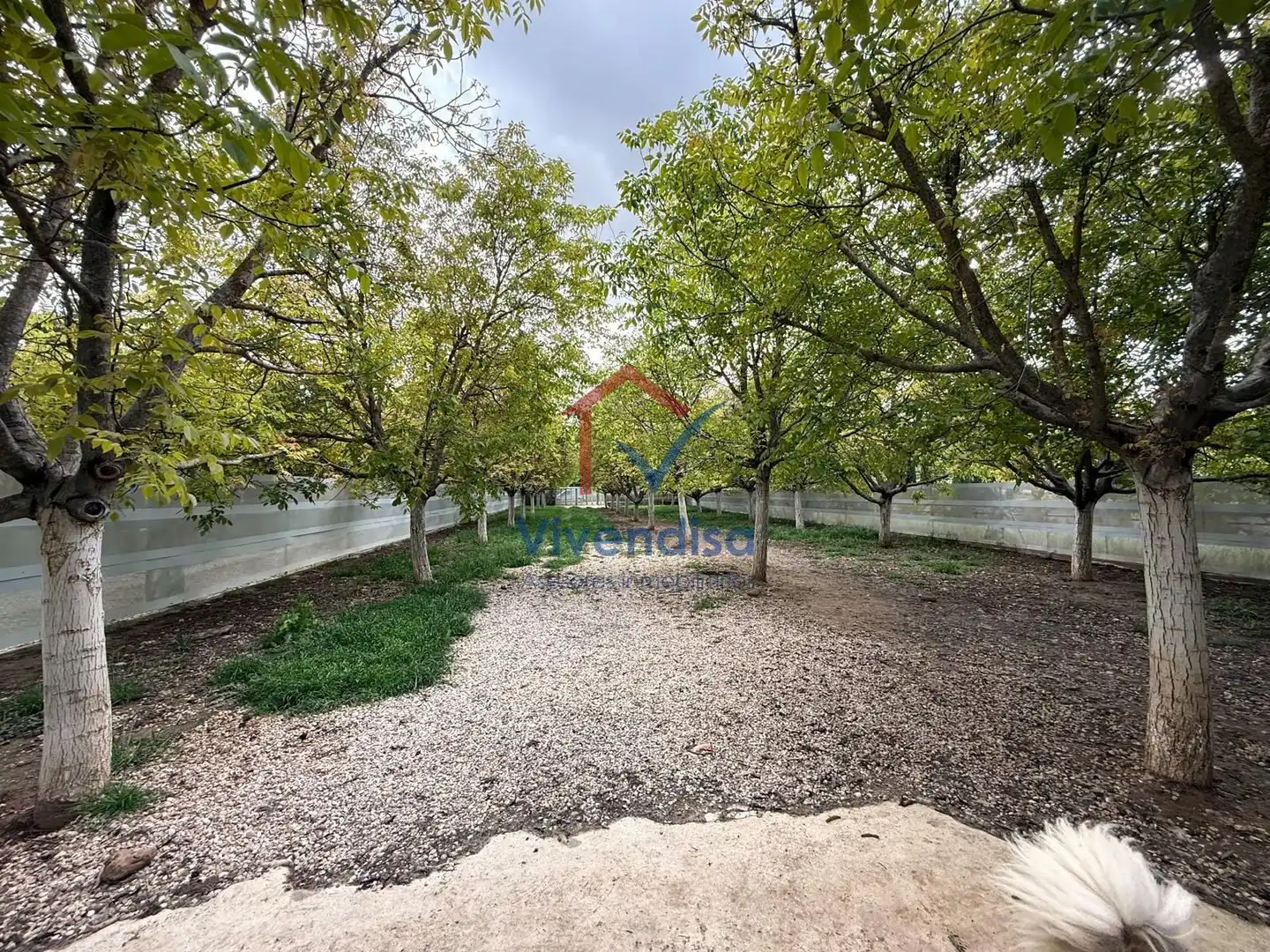 Terreny rústic en venda a Pesquera (Polígono 512), imagen 60