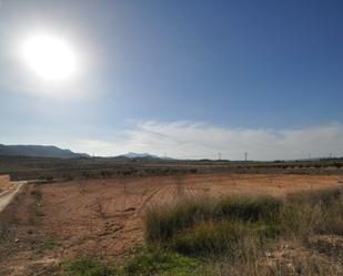 Casa o xalet en venda en Jumilla