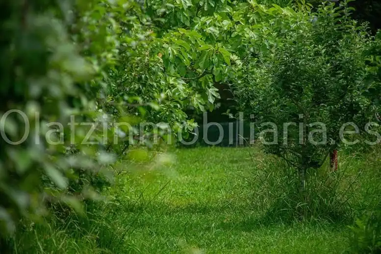Country homes for sale in Sopuerta