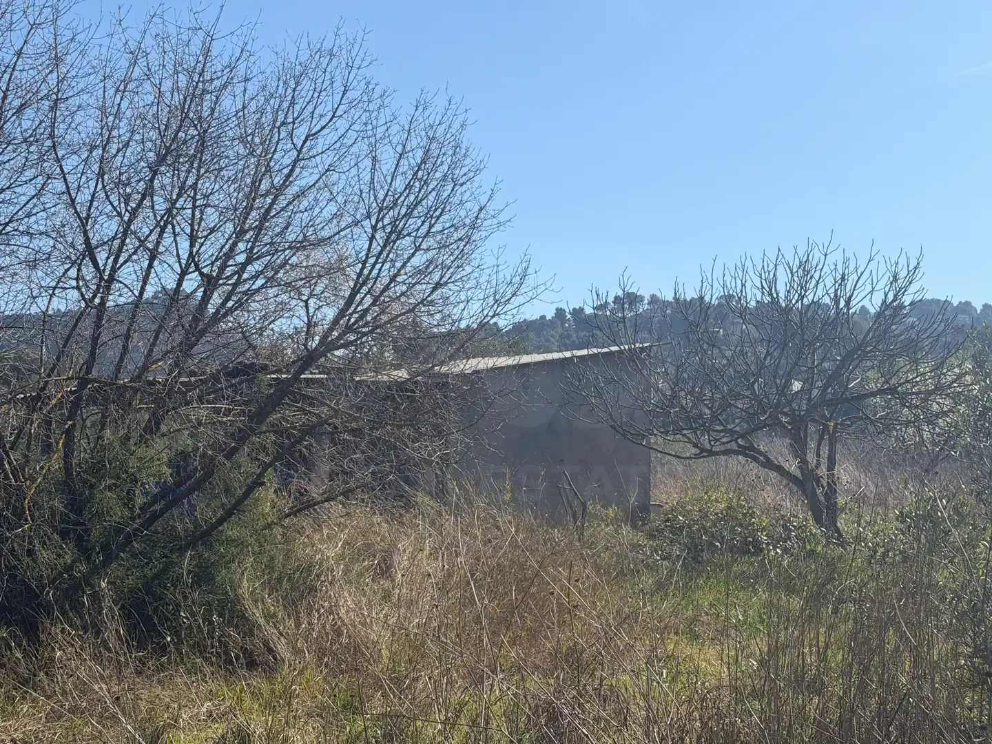 Rural land for sale in Castellví de Rosanes, imagen 11