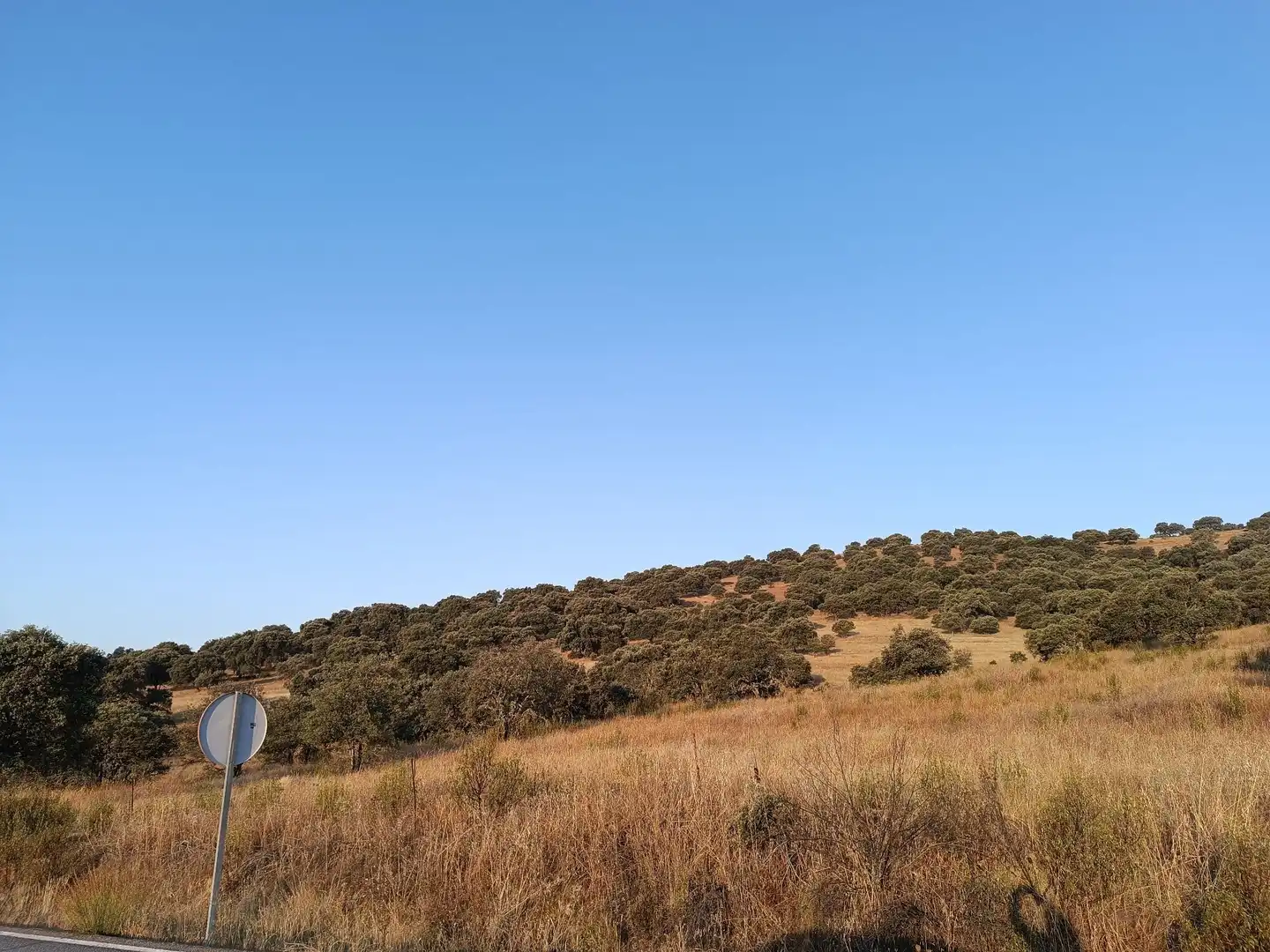 Residencial en venda a Alía