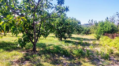 PRECIOSA FINCA EN JARANDILLA