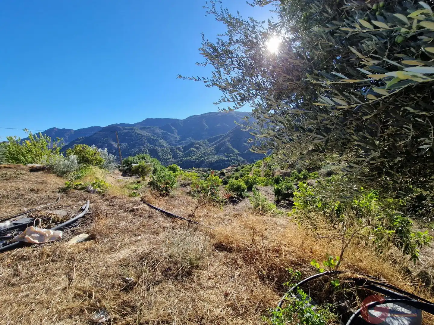 Casa rústica con piscina en venta en Los Guájares, imagen 27