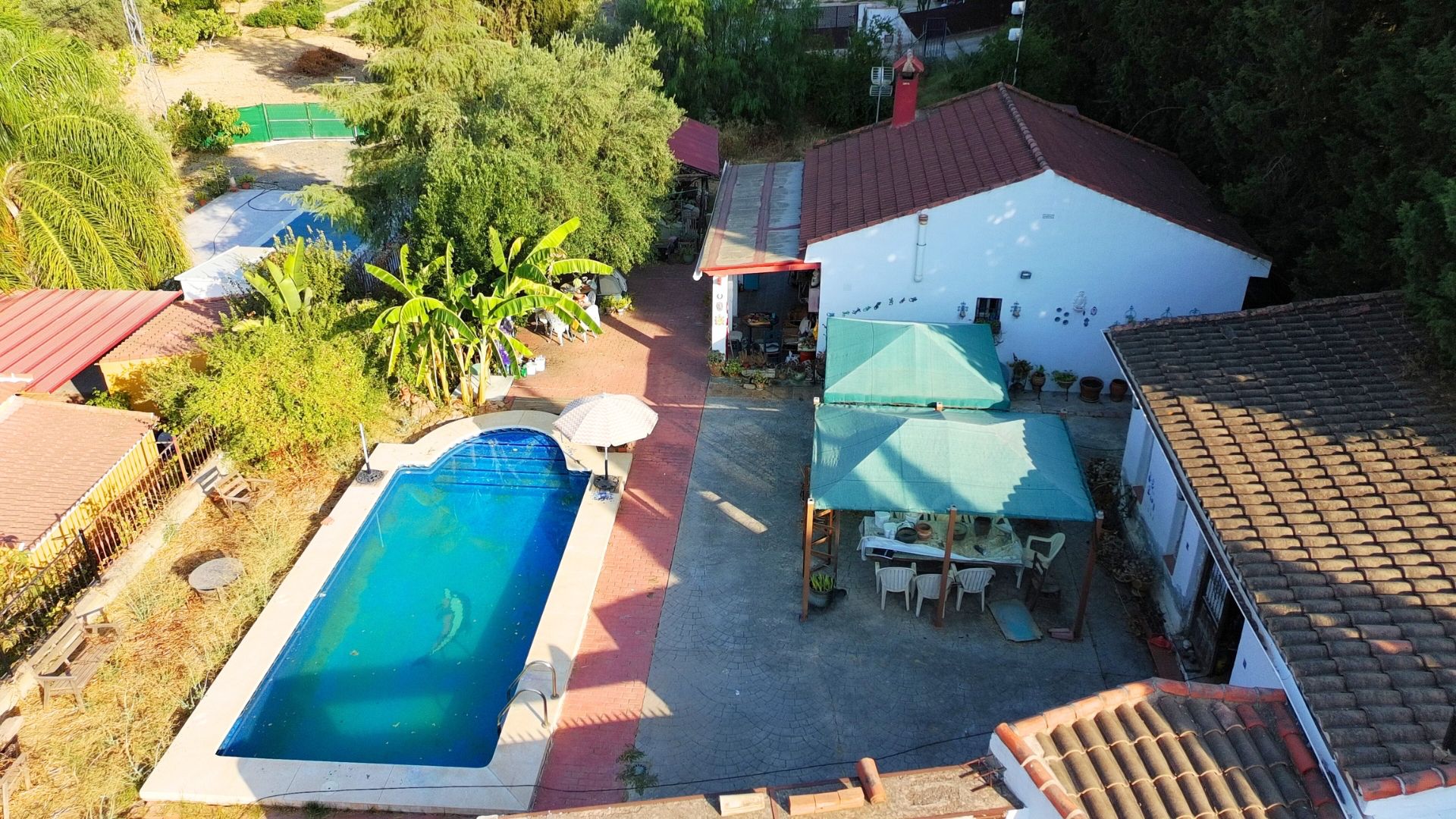 Piscina de Finca rústica en venda en Alhaurín El Grande amb Jardí privat, Terrassa i Piscina