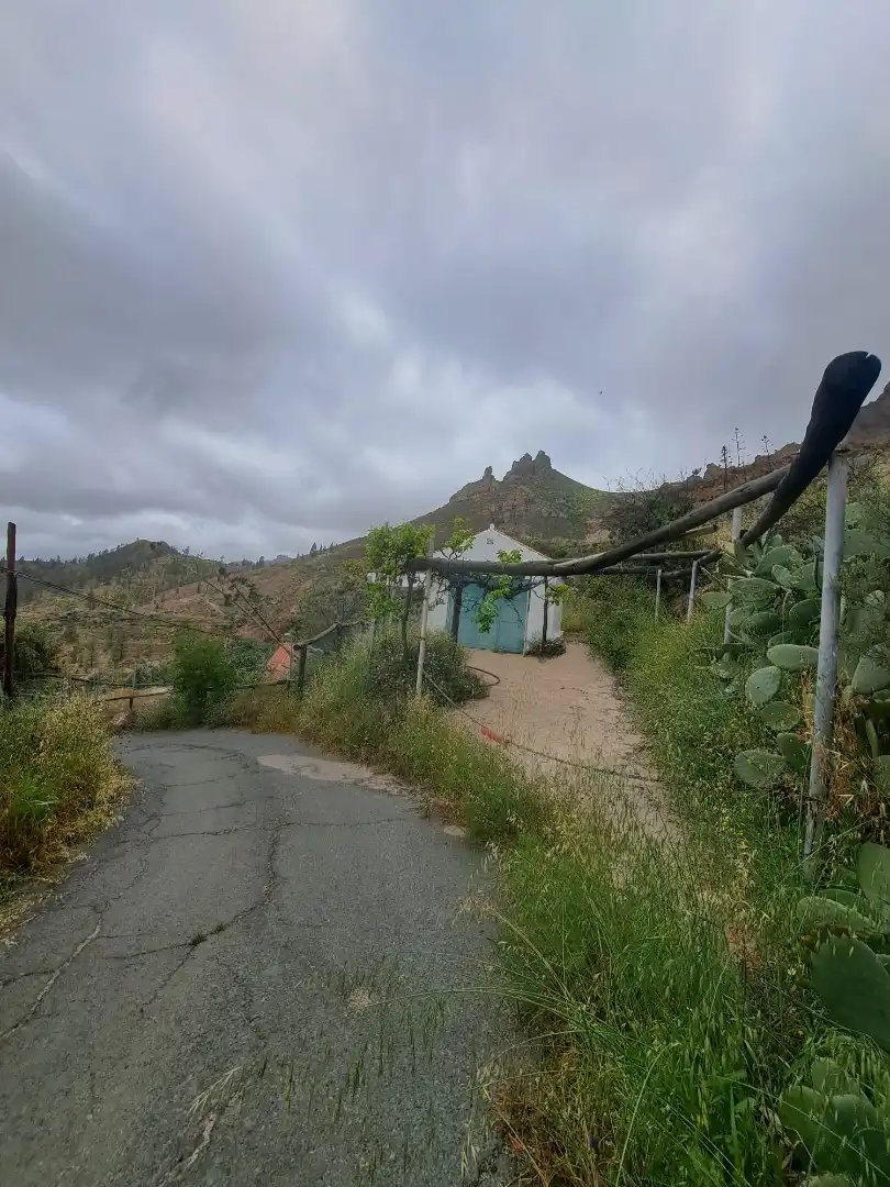 Vista exterior de Casa o chalet en venta en San Bartolomé de Tirajana con Jardín privado, Terraza y Trastero