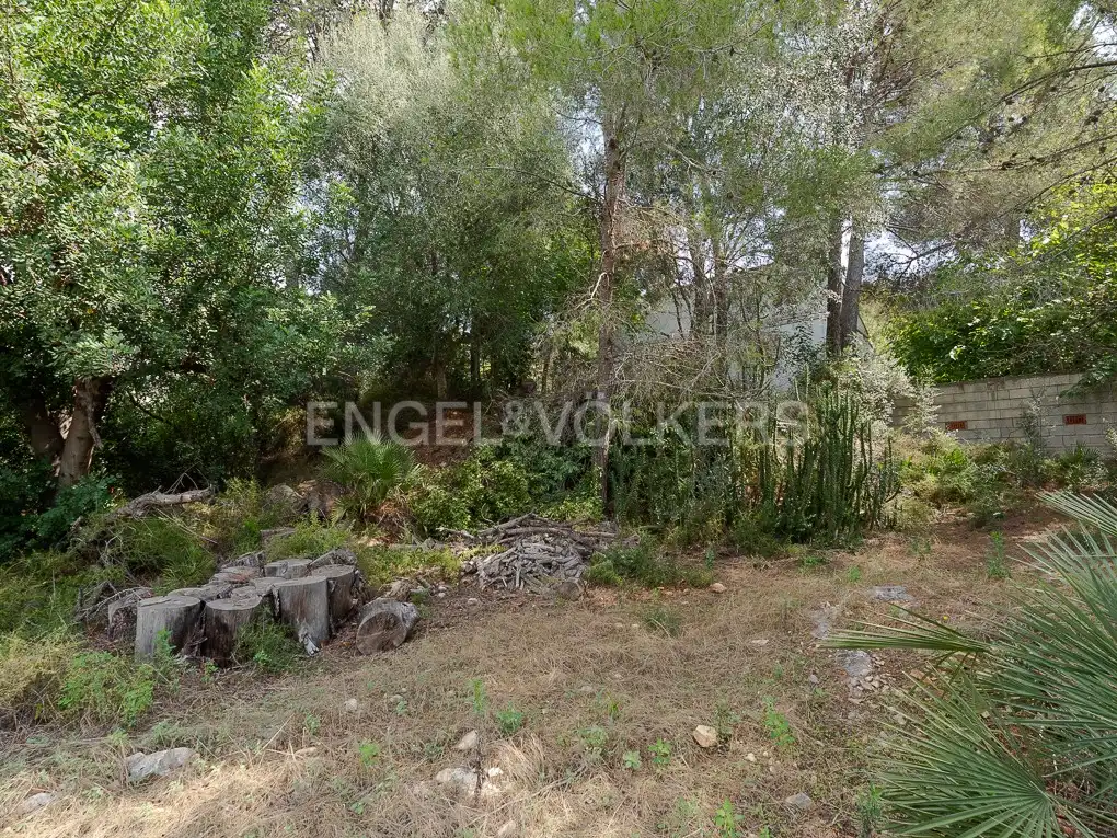 Houses for sale in Carcaixent  with Heating, Private garden and Terrace