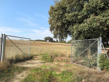 Rustikales Grundstück zum Verkauf in Diseminados Camino Casa Roque 294