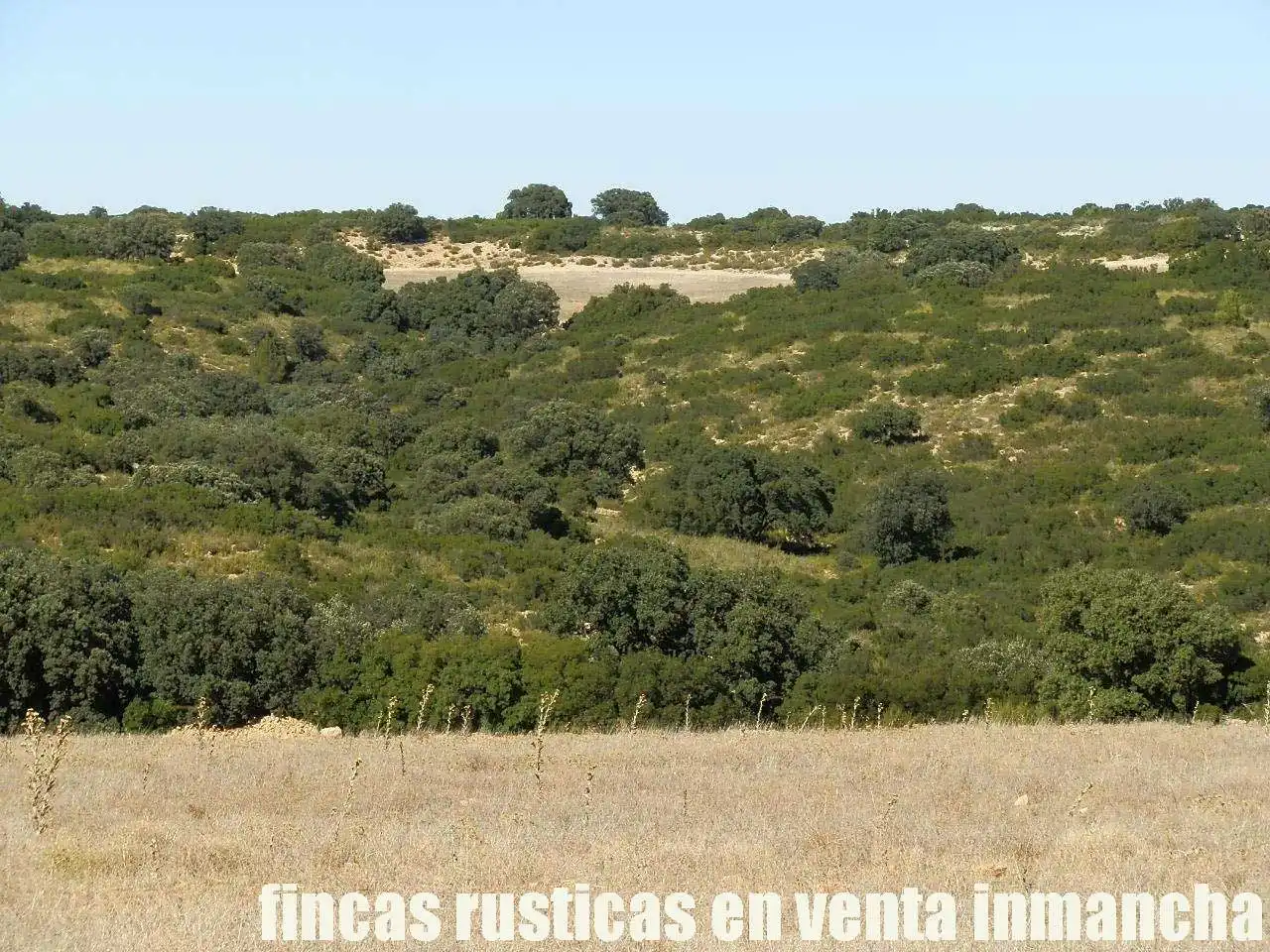Terreno en venta en Albacete